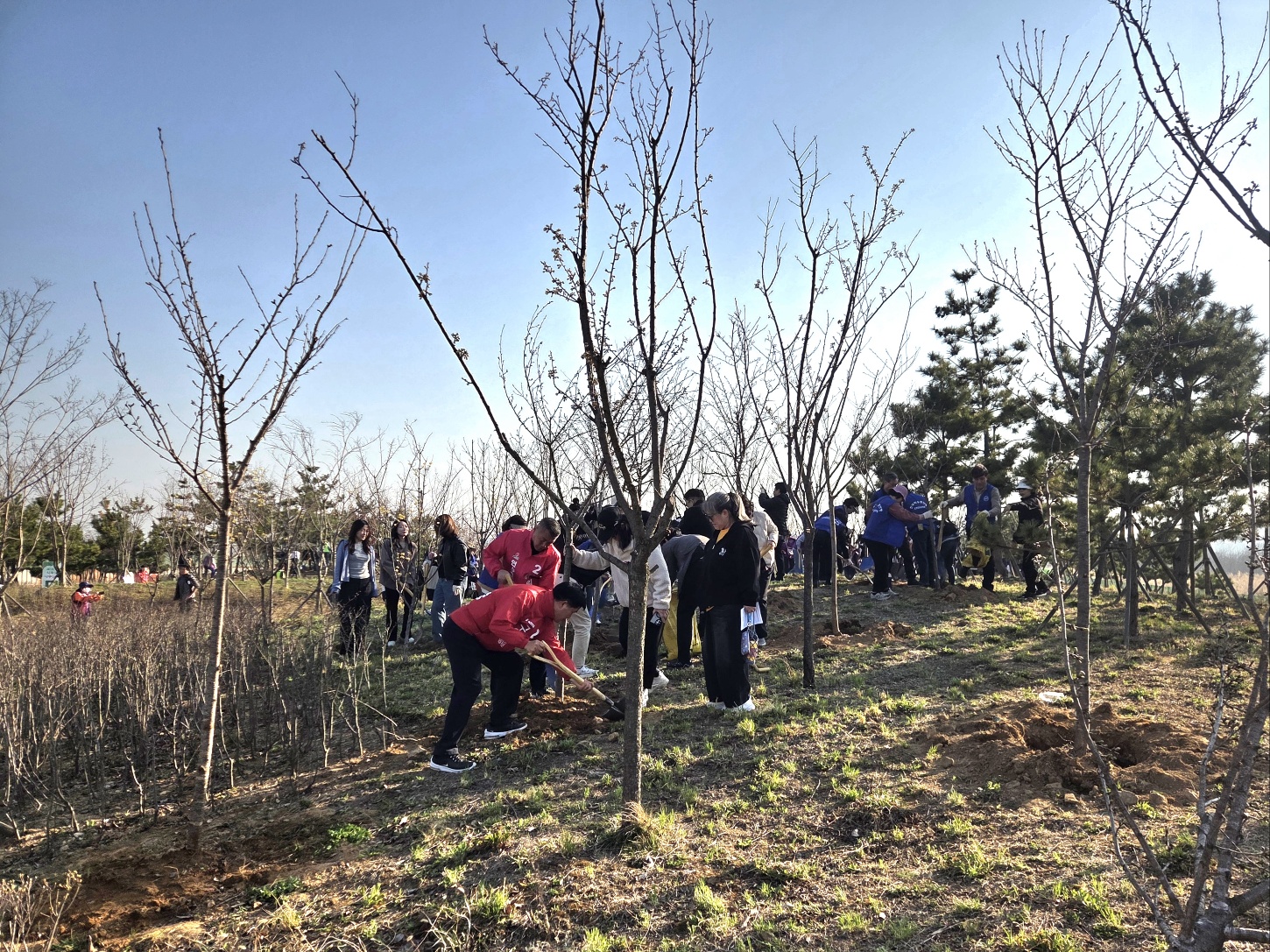 연수구는 지난 2일 제81회 식목일을 맞아 송도동 첨단산업클러스터 4호 근린공원에서 나무심기 행사를 개최했다